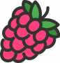 wiki:pics:raspberry.png